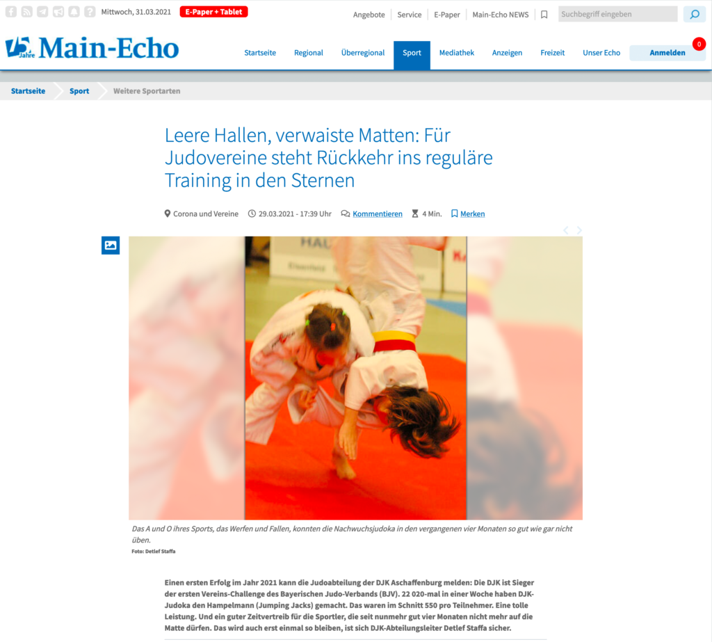 Main-Echo Artikel